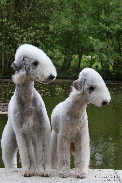 2010-05-01 Svet und Aveline (23).JPG